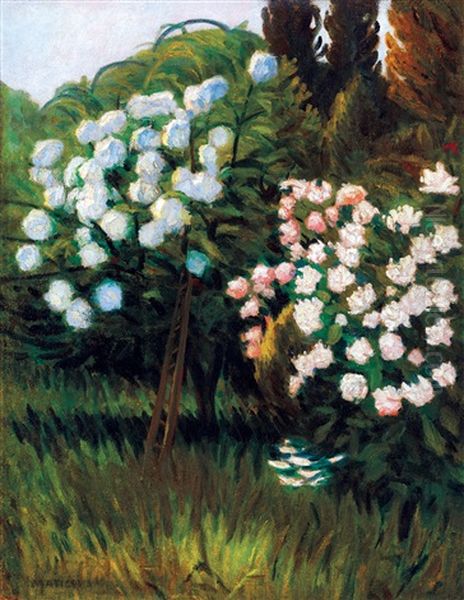 Garden In Nagybanya (rose Bushes) - view 1