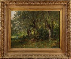 La Mare Sous Les Arbres La Mare Sous Les Arbres