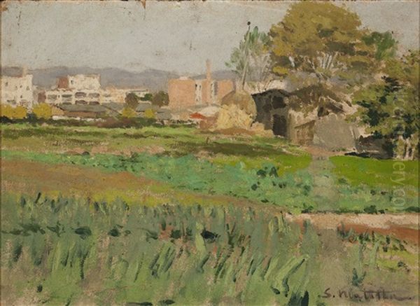 Paisaje - view 1