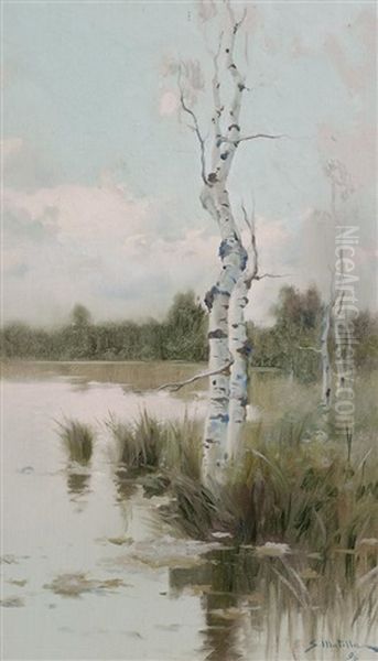 Paisaje - view 1