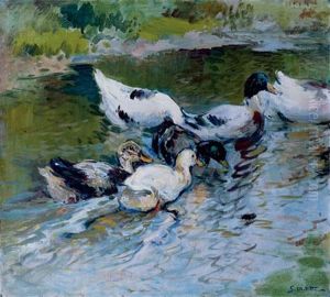 Patos En Un Estanque - Ducks On A Pond