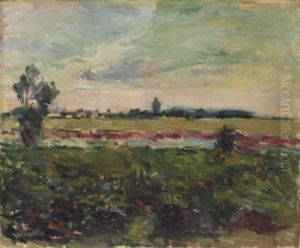 Paysage Des Environs De Toulouse