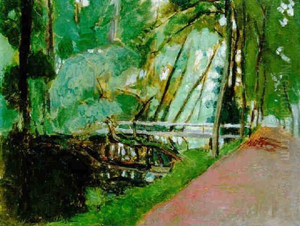 Dans Un Parc, Arbre Penche Sur L'eau - view 1