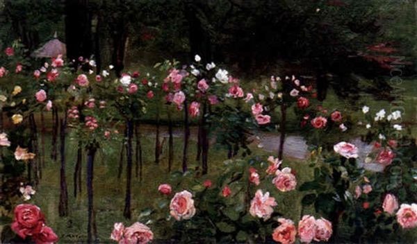 Parkinterior Med Rosa Uppstammade Rosor - view 1