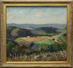 Panoramic Landscape by Walter Mattern