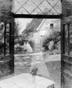 Blick Aus Der Tur In Den Sommerlichen Garten Blick Aus Der Tur In Den Sommerlichen Garten