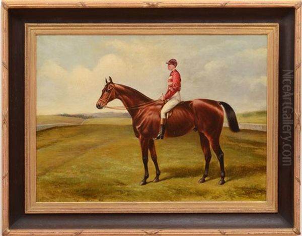 Major Brown's Racehorse, The Primate, With Jockey Up - view 1