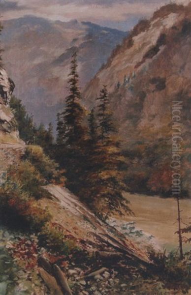 Fraser Canyon Below North Bend - view 1