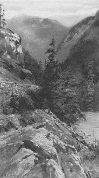 Bank Of The Fraser River At Smizzum B.c. - view 1