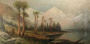 Trees On A Lake