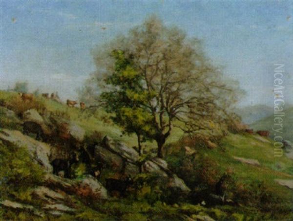Sommerliche Gebirgslandschaft - view 1