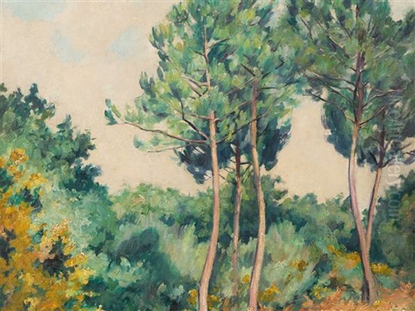 Sous Bois A Pont-aven - view 1