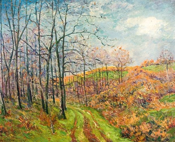 Chemin Sous Les Bois - view 1
