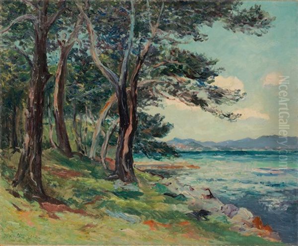 Les Vieux Sapins (ile St. Honorat) Alpes Maritimes - view 1
