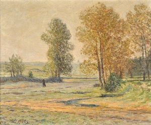Gelee Blanche En Automne (morgat) Gelee Blanche En Automne (morgat)