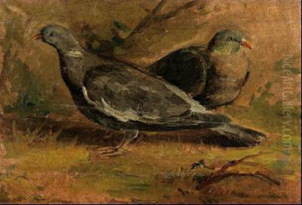 Palomas - view 1