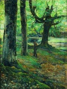 Bosque De Hayas by Vicente Berrueta