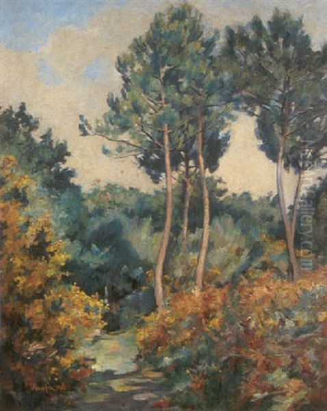 Sous-bois A Pont Aven - view 1