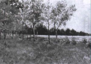 Les Petits Bouleaux, Etang De La Gournerie, Juin, Midi