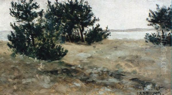 Sur La Cote - Pornichet - view 1