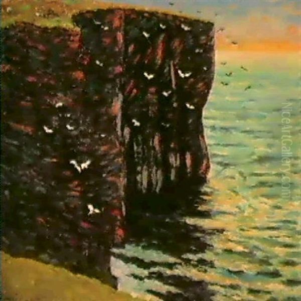 Les Falaises Noires A Thurso, Ecosse - view 1