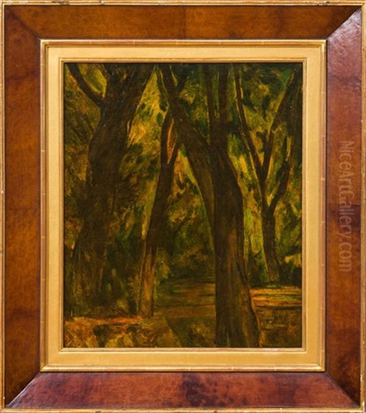Wooded Landscape - view 1