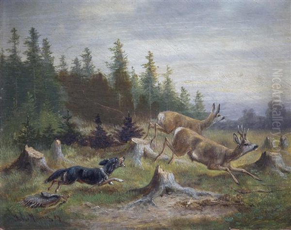 Jagdhund Mit Angehangter Tasche Stellt Rotwild In Waldlichtung - view 1
