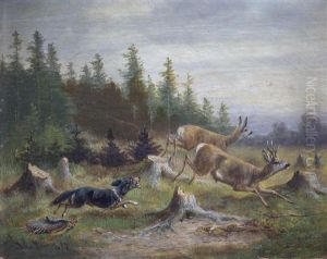 Jagdhund Mit Angehangter Tasche Stellt Rotwild In Waldlichtung