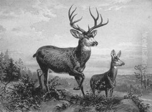 A Buck And Fawn In A Landscape by Louis Maurer