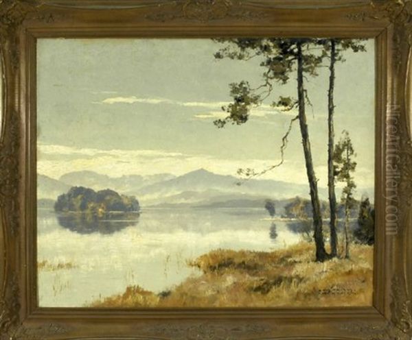 Partie Am Grosen Ostersee Mit Zwei Kleinen Inseln Und Den Alpen Im Hintergrund - view 1
