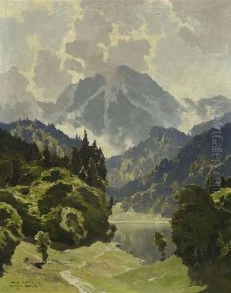 Am Fernpass - view 1