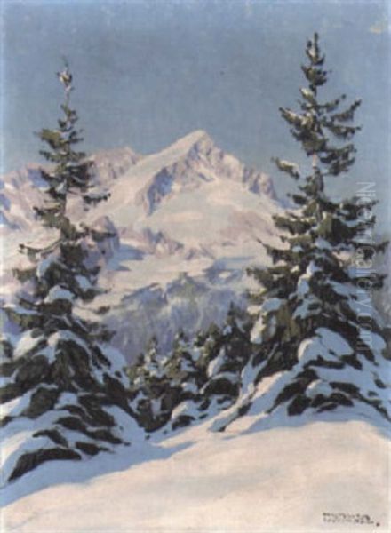 Wintertag In Den Dolomiten - view 1