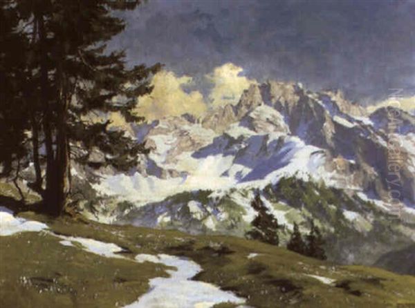 Blick Auf Die Dreitorspitze Von Kreuzeck - view 1