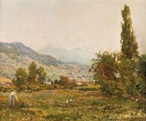 Paysage Anime