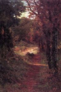 Forest Path Forest Path