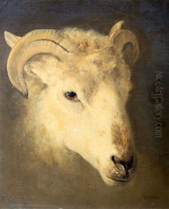 Schaapskop / Head Of A Sheep by Anton Mauve