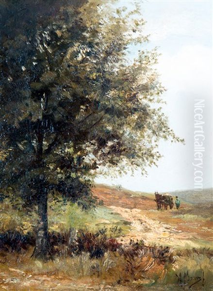 In The Dunes - view 1