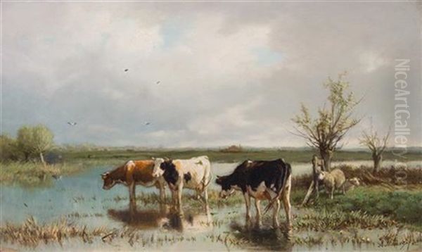 Three Cows - view 1
