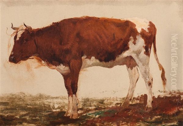 Red And White Cow - view 1