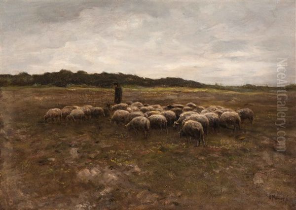 Shepherd With His Flock - view 1