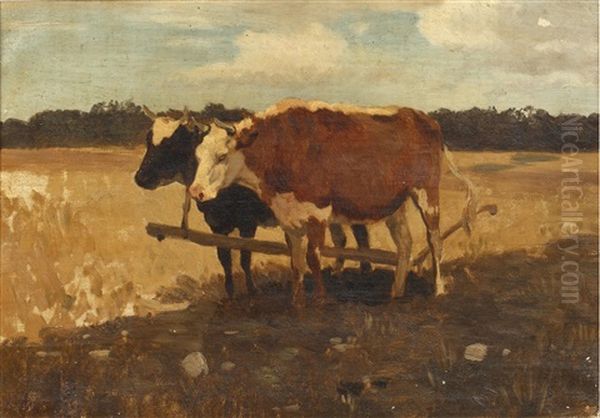 Study Of Cows In A Field - view 1