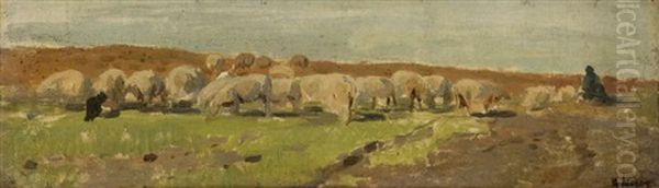 Berger Aux Moutons - view 1