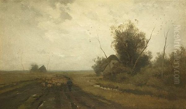 Weite Polderlandschaft Mit Heimziehender Schafherde - view 1