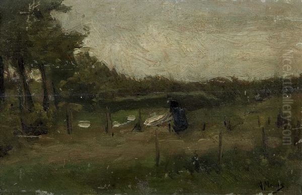 Het Bleekveld - view 1