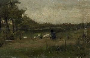 Het Bleekveld Het Bleekveld