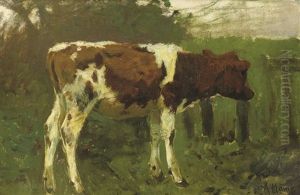 The Calf (study)