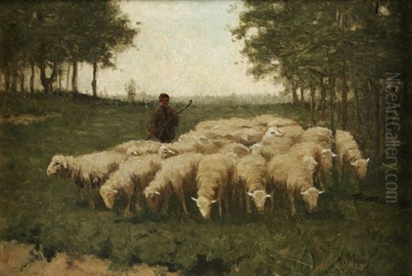 Shepard Herding His Sheep - view 1