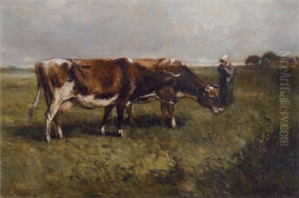 Cows Grazing With A Shepherd Girl - view 1