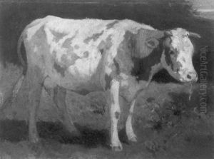 Bovine Study Bovine Study