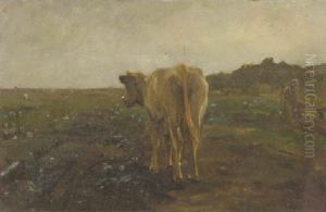 A Cow In A Meadow by Anton Mauve